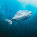 plastic pollution in the ocean
