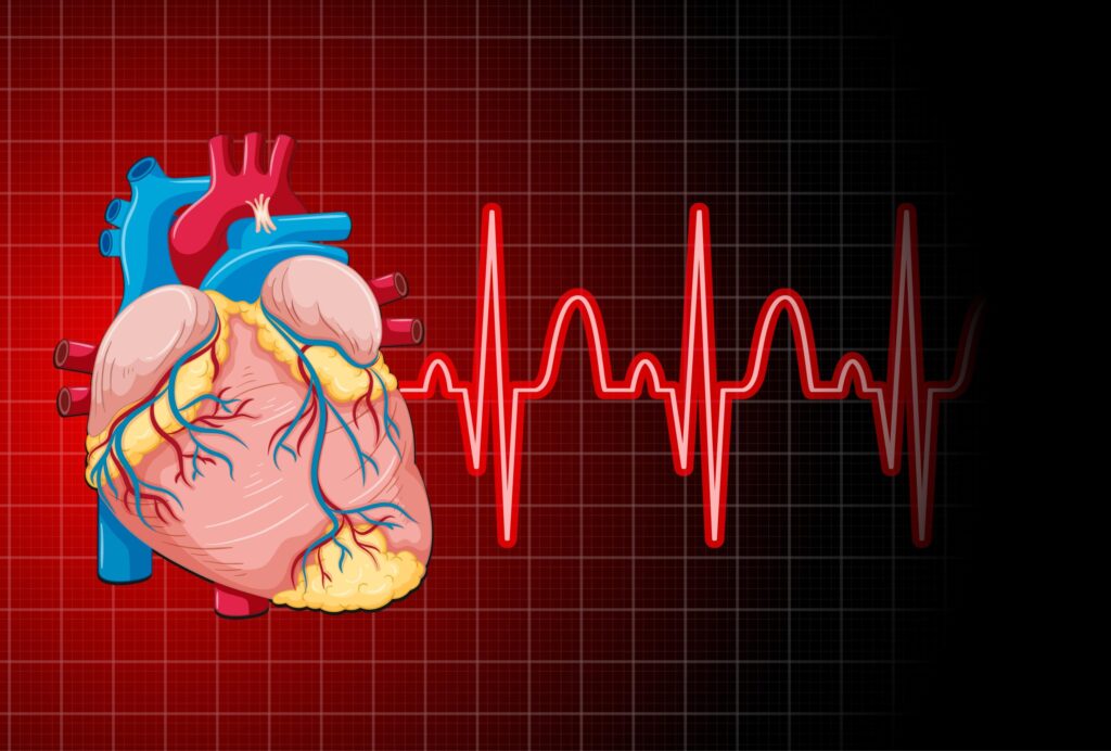 TAVI Specialist in Jaipur