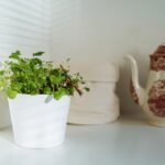 Discover how small pots add charm to any space. Explore the best small plant pots, ceramic small pots, and stylish ideas for your home or office décor.