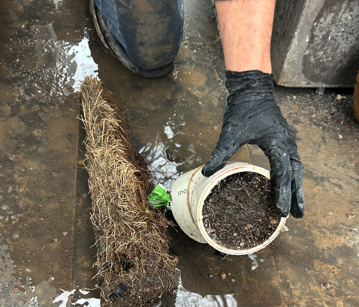 blocked drains melbourne