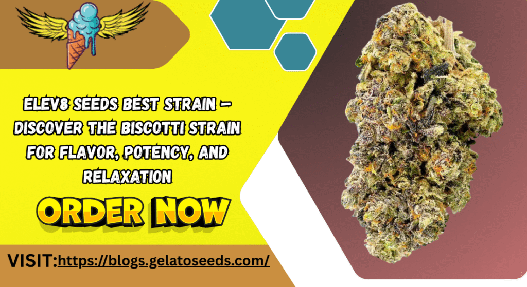 elev8seeds