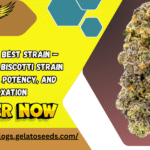 elev8seeds