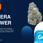 Venera Flower
