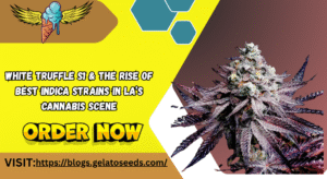 Best Indica Strains