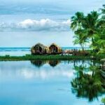 kochi (1)