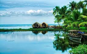 kochi (1)