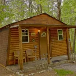 pet-friendly cabins