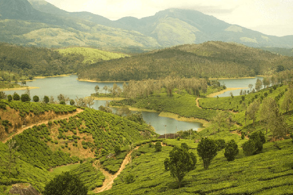 yelagiri