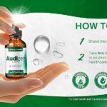 Audizen