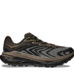 https://pandadunksofficial.us/hoka-tecton-x-2-ts/