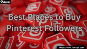 Best Places to Buy Pinterest Followers