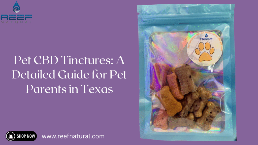 pet CBD tinctures