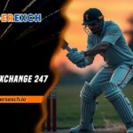 Tiger Exchange 247
