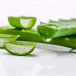 Aloe Vera Health Benefits For Men