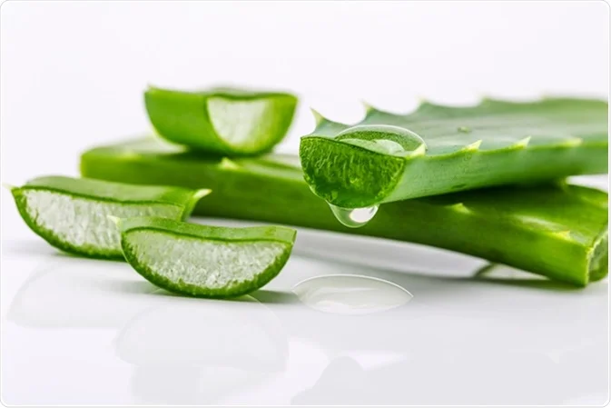 Aloe Vera Health Benefits For Men