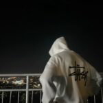 veste stussy