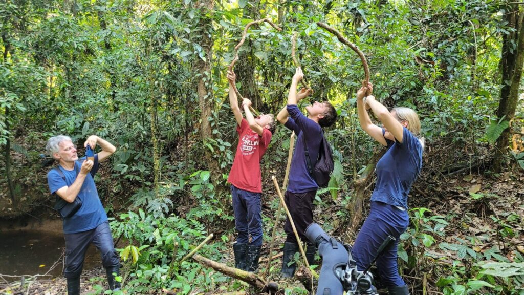 About-Green-Amazon-1536x864