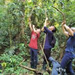 About-Green-Amazon-1536x864