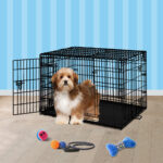 dog with carrier