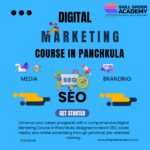 Digital Marketing Course In Panchkula