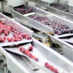 Food Processing and Handling Equipment Market