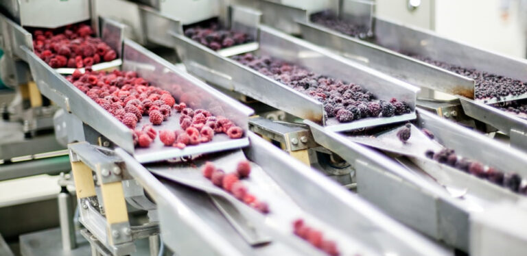 Food Processing and Handling Equipment Market