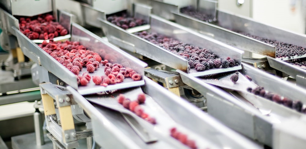 Food Processing and Handling Equipment Market