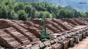 Hinz Logging & Land Clearing