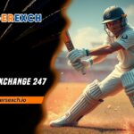 Tiger Exchange 247