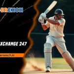 Tiger Exchange 247
