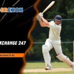 Tiger Exchange 247