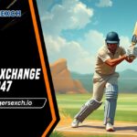 Tiger Exchange 247