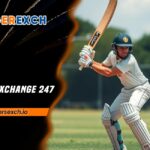 Tiger Exchange 247