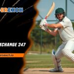 Tiger Exchange 247