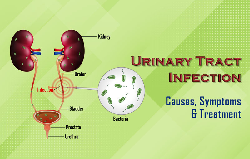 Urinary Tract Infection Diagnosis Market