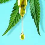 CBD oil