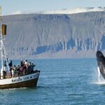 iceland packages from india