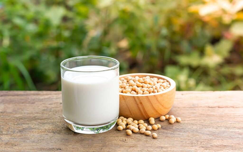 soya milk manufacturing