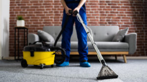 Carpet Cleaning Services