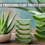 Aloe Vera Processing Plant