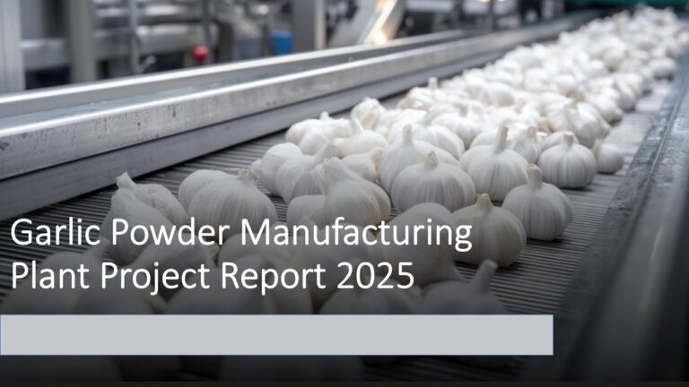 Garlic Powder Manufacturing Plant