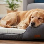 Orthopaedic Dog Bed