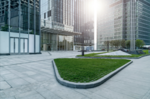 Yamuna Expressway Uttar Pradesh