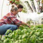 The,Grandmother,And,Her,Granddaughter,Work,Side,By,Side,In