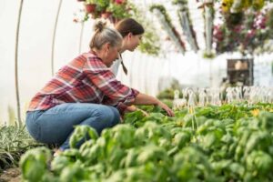 The,Grandmother,And,Her,Granddaughter,Work,Side,By,Side,In