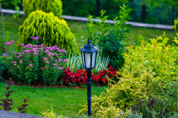 Garden Maintainer services