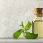 peppermint oil bulk suppliers
