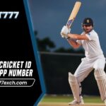 Online Cricket ID WhatsApp Number