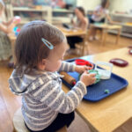Programs-Activities-Montessori-Novato-CA