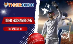 Tiger Exchange 247